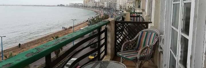 Nehal_gamal's profile banner image