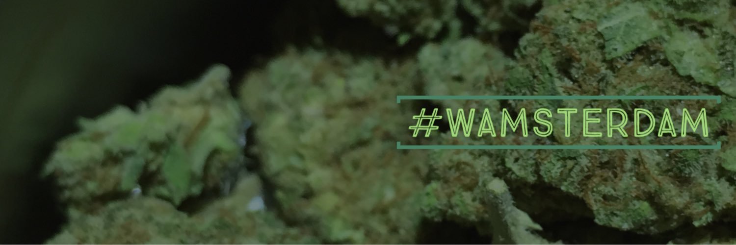 visitwamsterdam's profile banner image