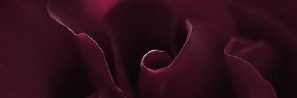 AnnisaRez's profile banner image