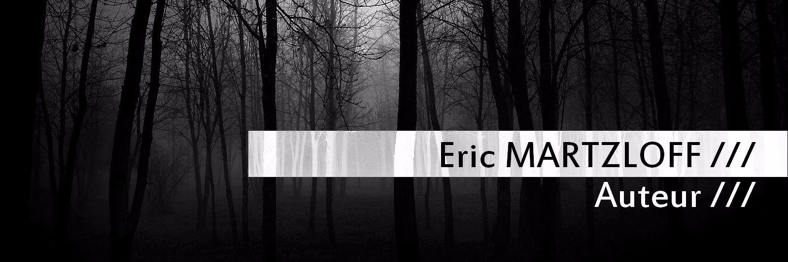 EricMartzloff's profile banner image