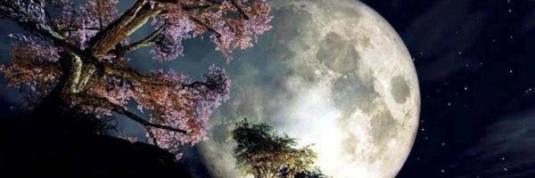 lucilangelm Profile Banner