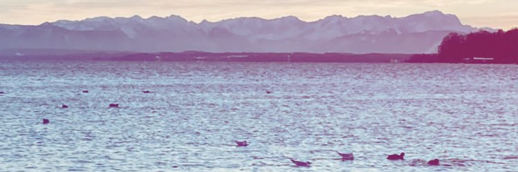 ToWeAux's profile banner image