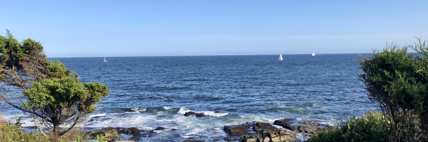 nancyembleton's profile banner image