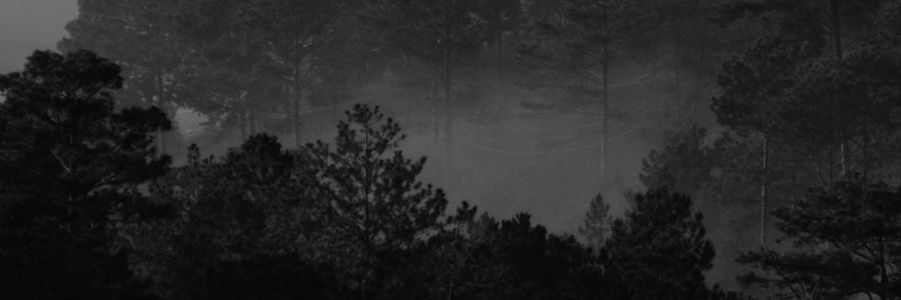shanksibr's profile banner image