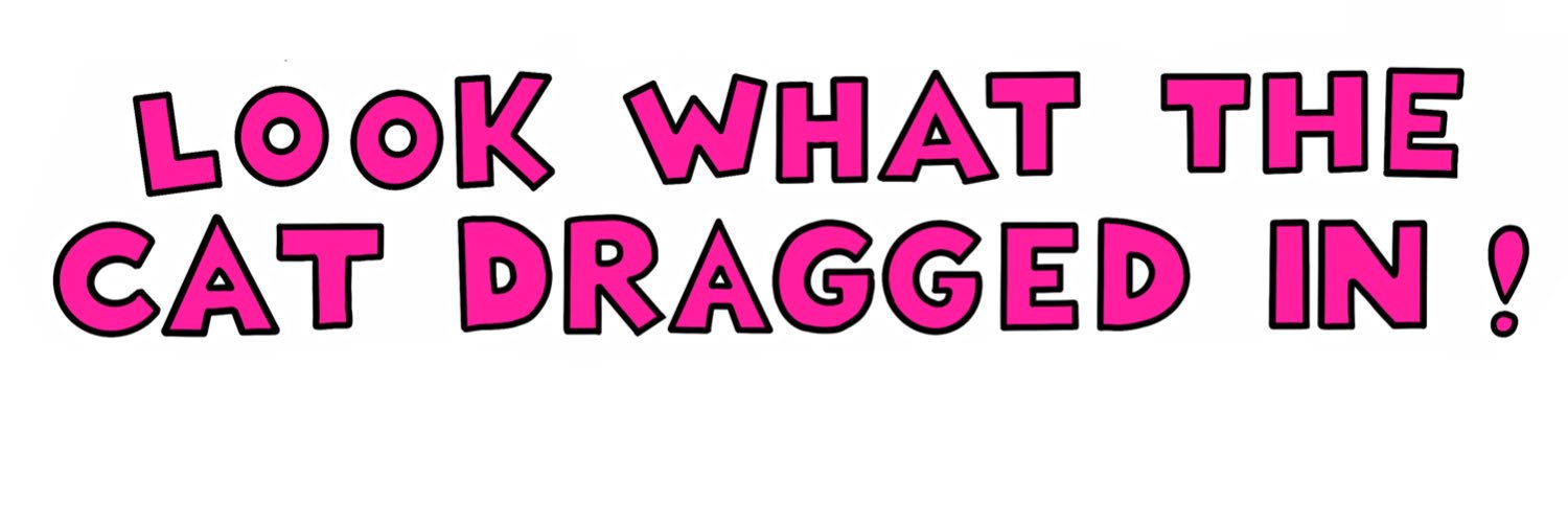 siogallagher's profile banner image