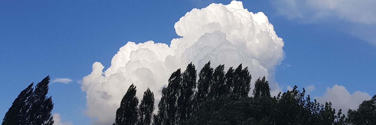 HivinF's profile banner image