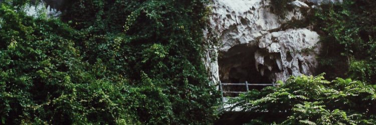 idklauraaa's profile banner image