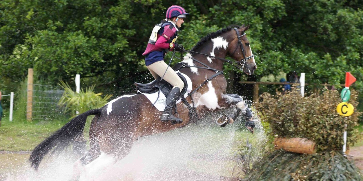 vicki_hancox's profile banner image