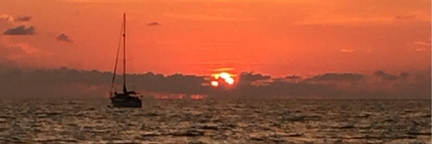 luvtoplay's profile banner image