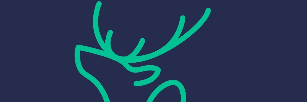 netanel hersh banner