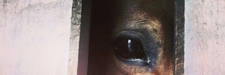 Doriskowa's profile banner image