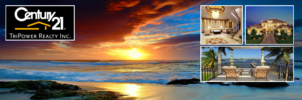 FMBeach_Realtor's profile banner image