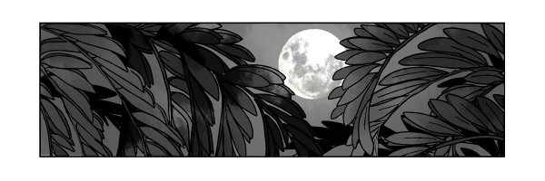 katari_koyumoka's profile banner image