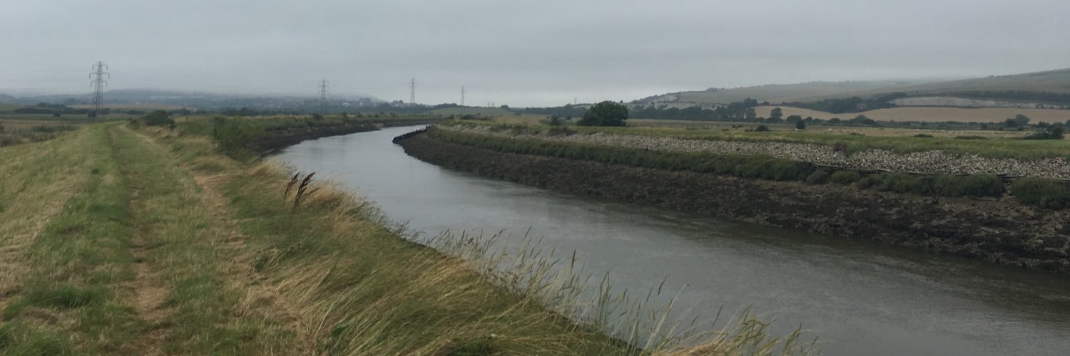 Bright Green Penguin C.I.C. banner