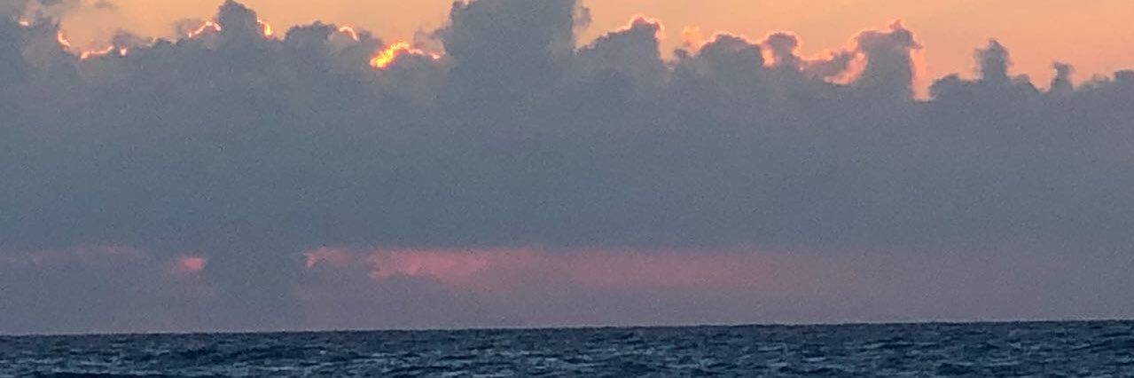 Amal ELleithy banner