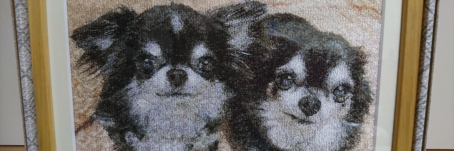 narichandesu's profile banner image