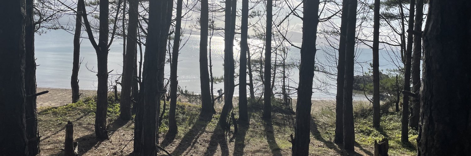 cerian714's profile banner image