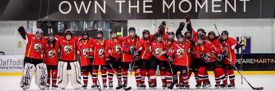 Bstoke Bison Ladies banner