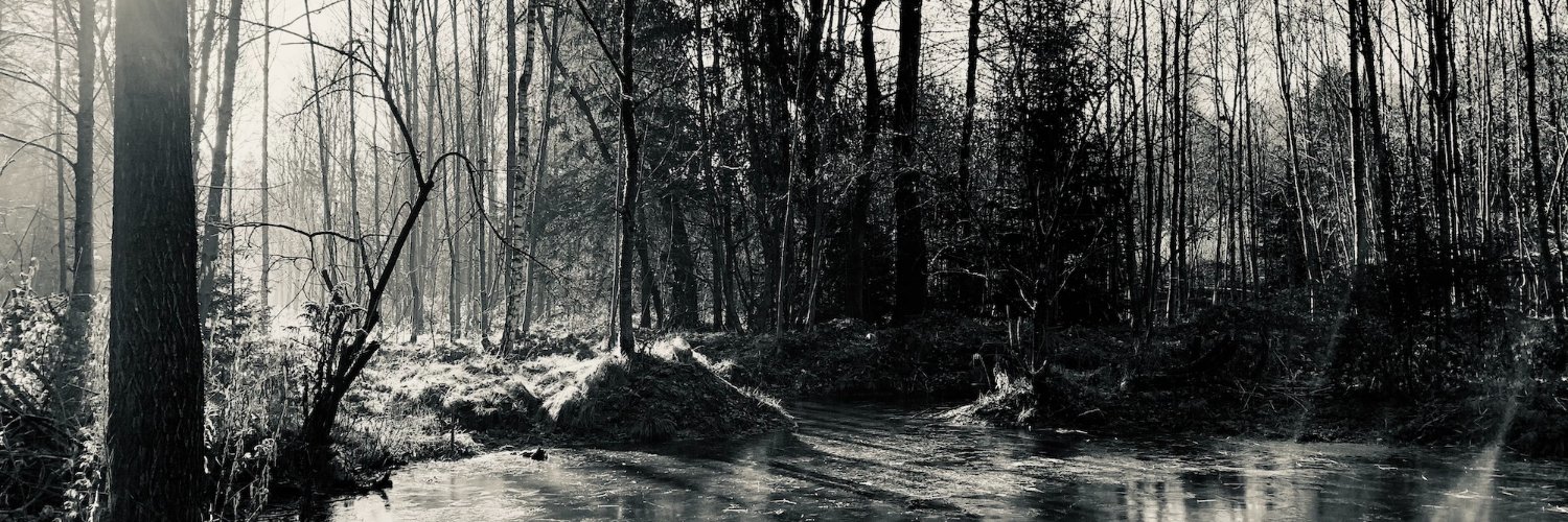 _andresander's profile banner image