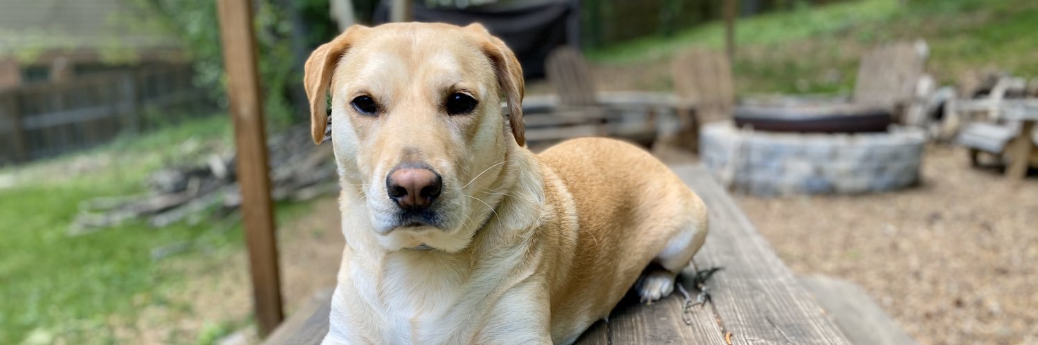 Phoenix Hardin banner