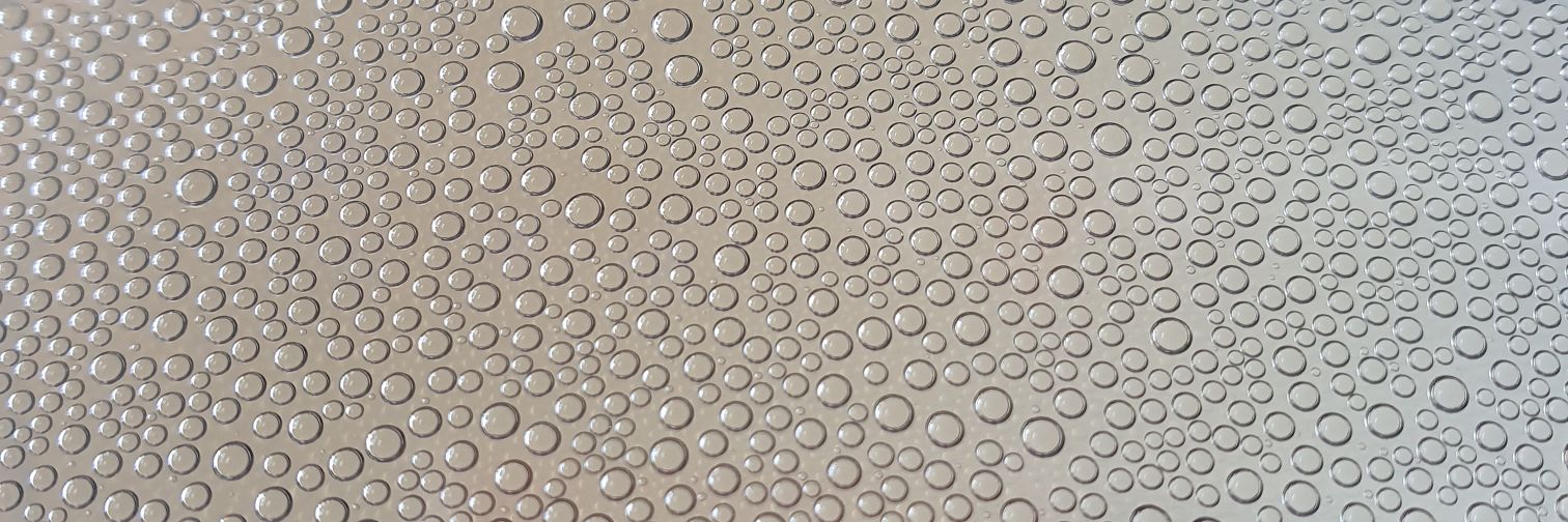 sofapflanze1's profile banner image