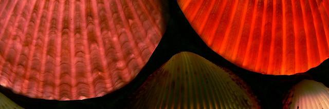 BeefWerky's profile banner image