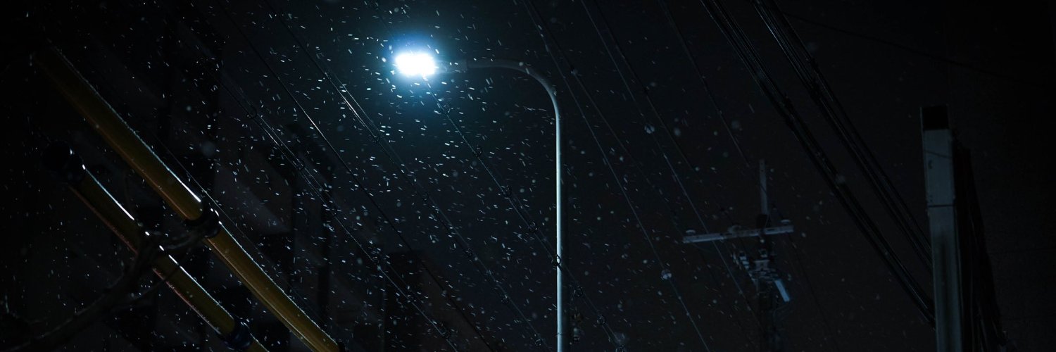 paologrigoletti's profile banner image