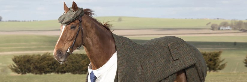 shanedmayer's profile banner image