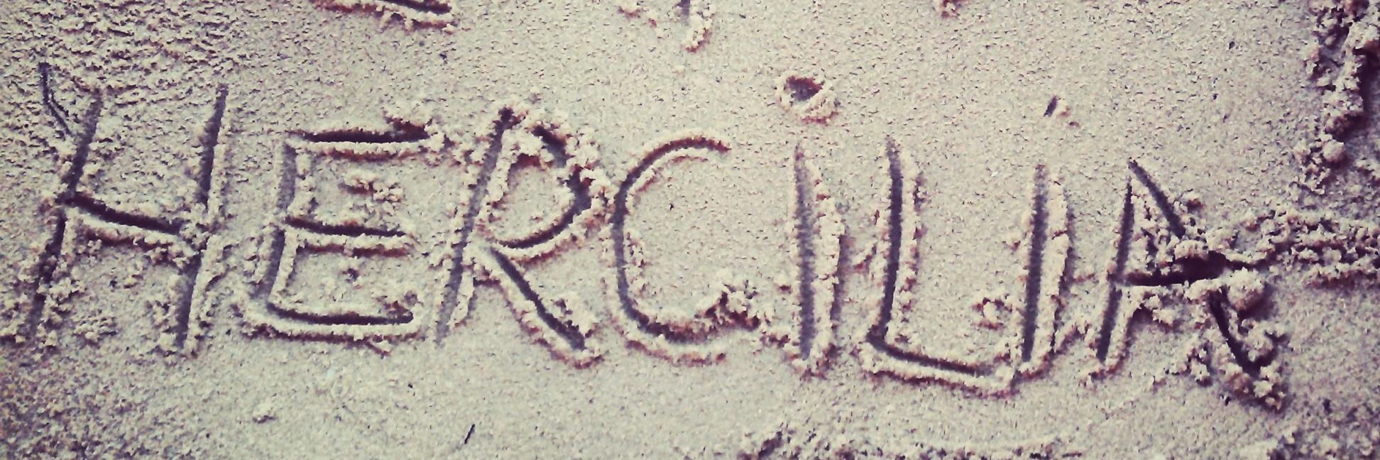 Herciliamariana's profile banner image