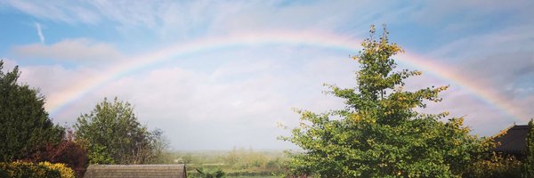 aliceWMCN Profile Banner