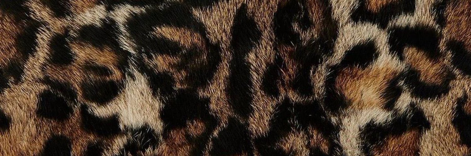 bhloex's profile banner image