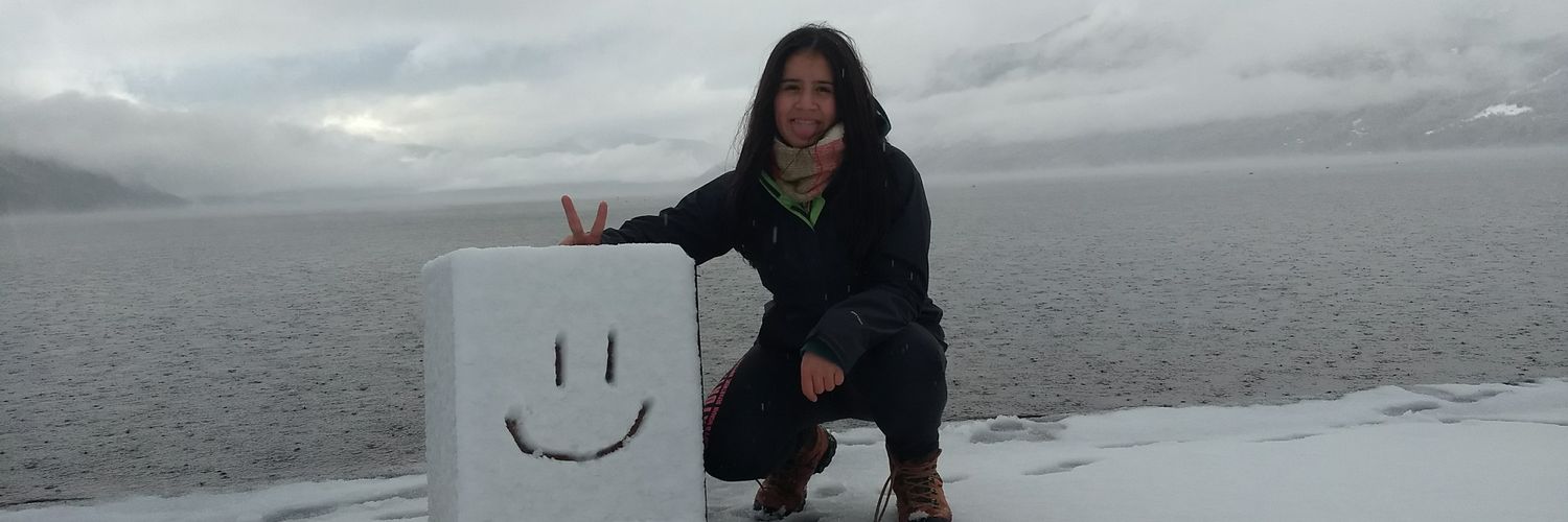 AntuPucon's profile banner image
