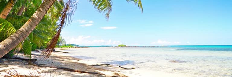 Sr. Putaquiparilson banner