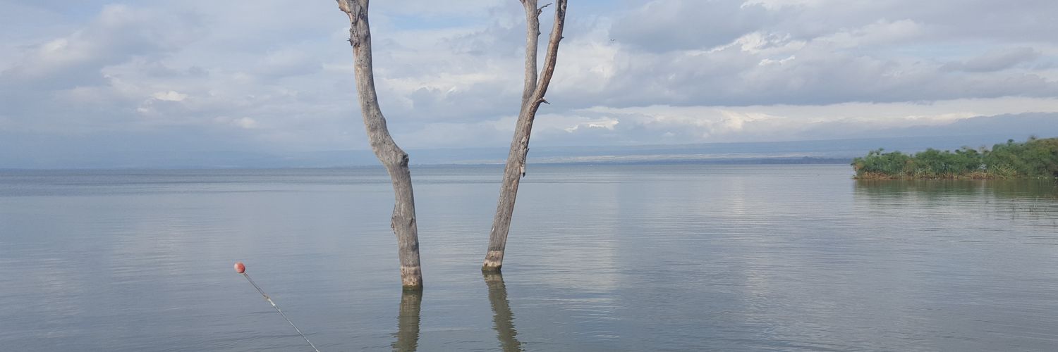 mcadamiaa's profile banner image