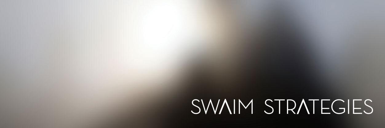 Swaim Strategies banner