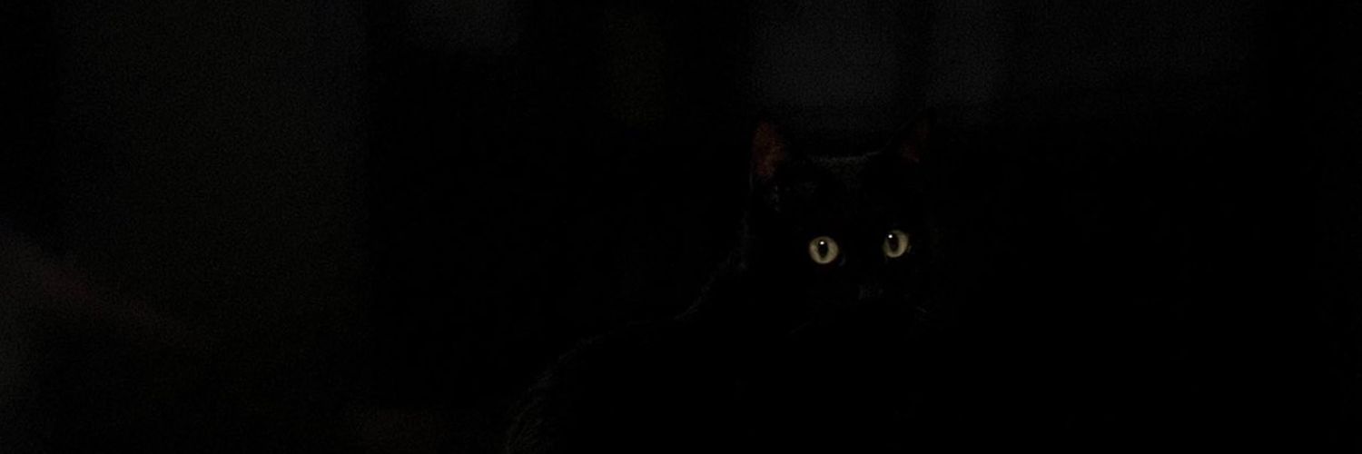 RogueKitten89's profile banner image