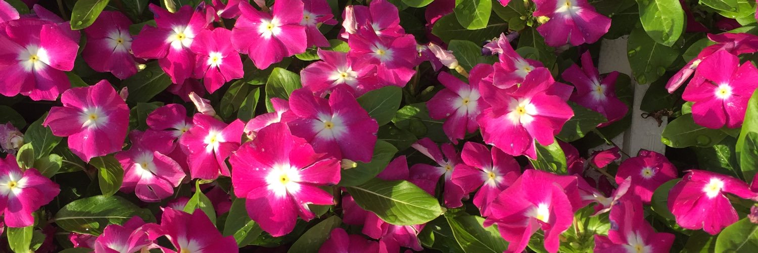 komando5715's profile banner image