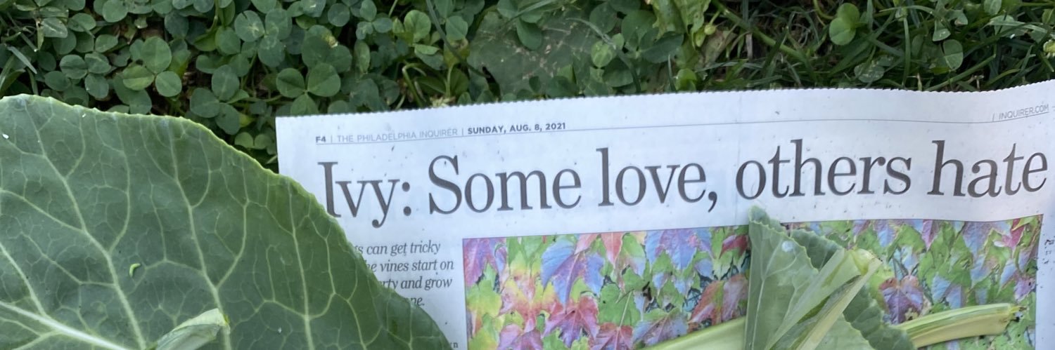 i_v_why's profile banner image