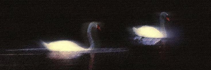 p27na's profile banner image