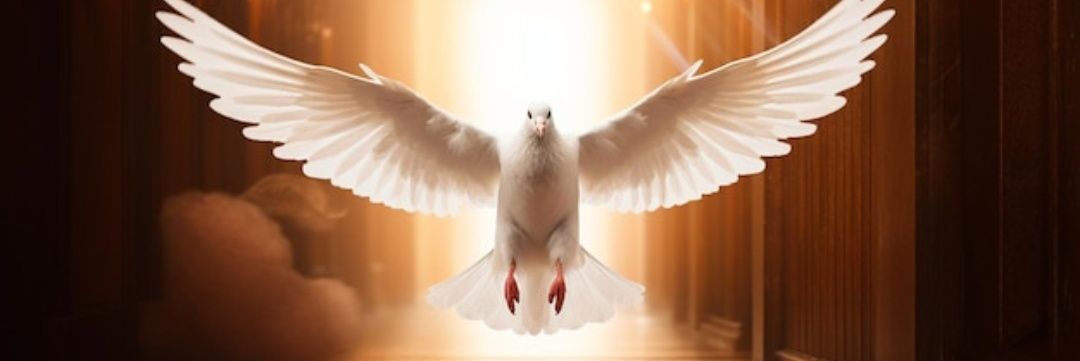 MayluBurelli's profile banner image
