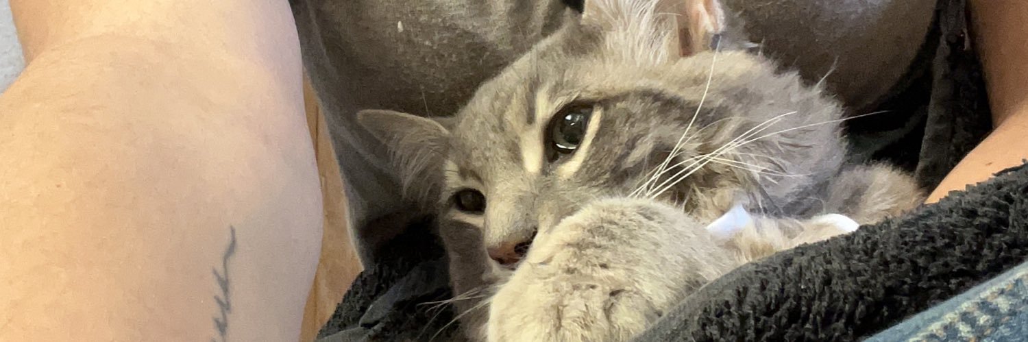 AmandaSaGo's profile banner image