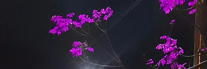 Gerr_Vieraa's profile banner image