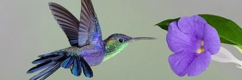 defallah8's profile banner image
