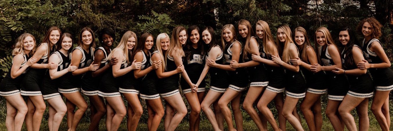 LSE Shirettes banner