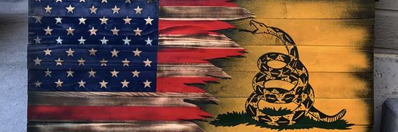 Zebra9CTT's profile banner image