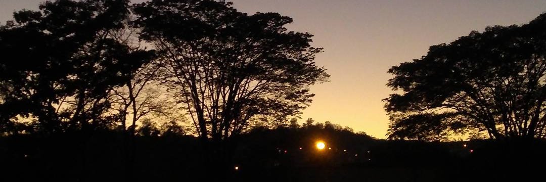 _PaulaClaro's profile banner image