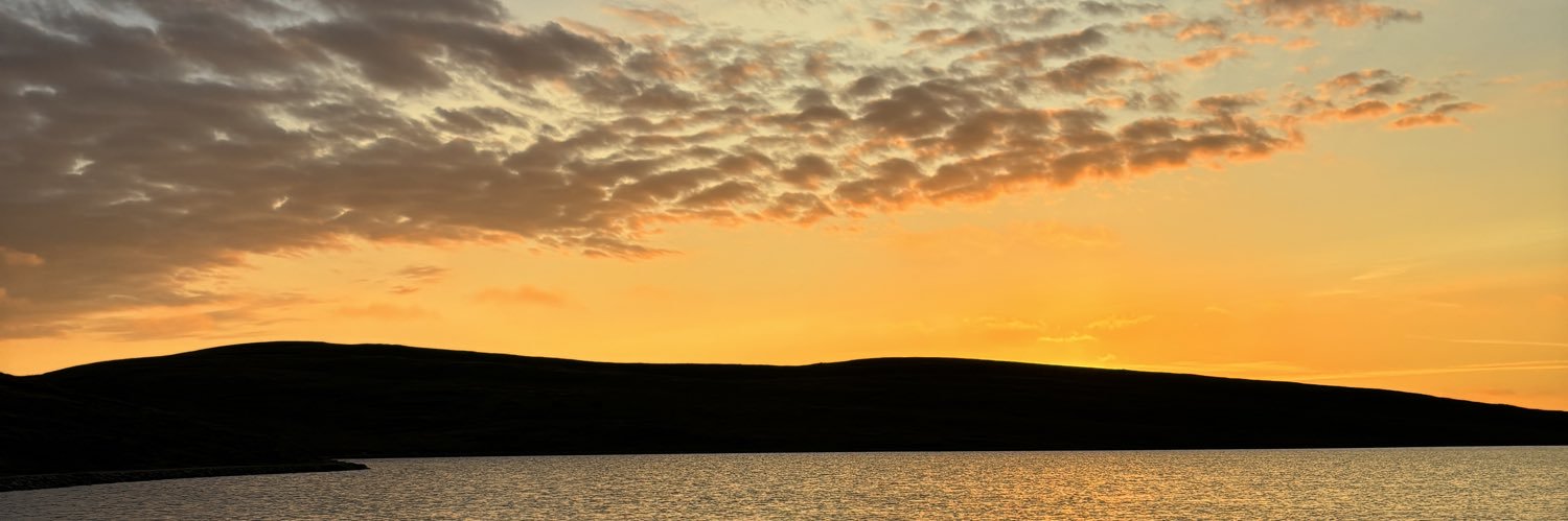 Dianne Shearer banner