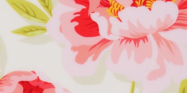 AshlynWhyte's profile banner image
