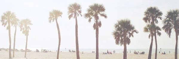 Femburton1's profile banner image