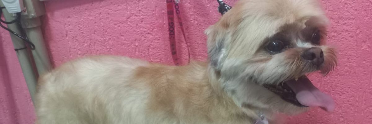JENNIFER_JAMESZ's profile banner image